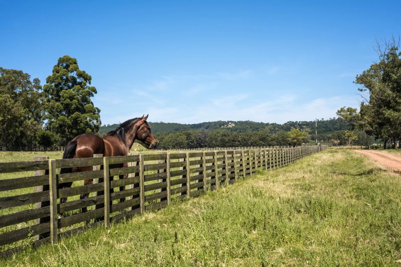 Specialized Equine Fence Experts